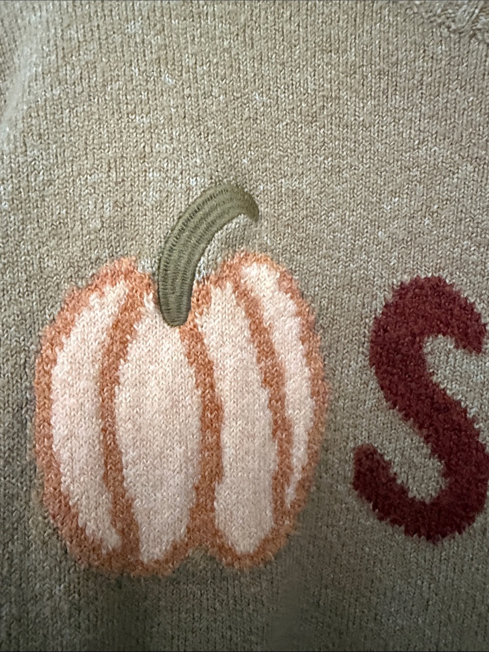 LOFT Pumpkin Spice Graphic Crewneck Sweater Fall Cozy Small - Picture 3 of 10